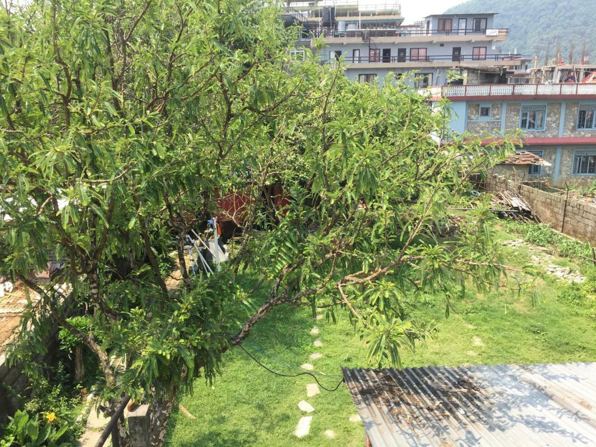 Nepalaya Eco Hostel โพคารา ภายนอก รูปภาพ